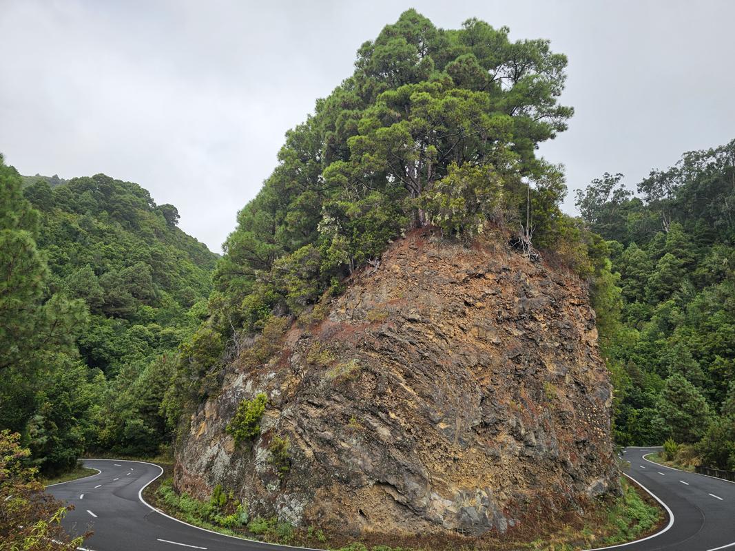 Auf geht´s mit dem Auto hinauf zum höchsten Punkt der Insel.