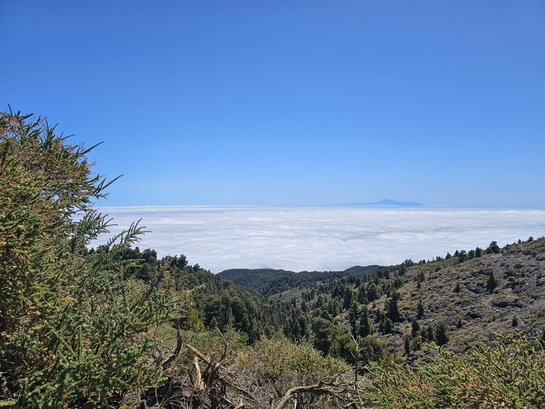 
Der Teide, der Herr über alle Inseln, ist auch hier über der Wolkendecke zu sehen.
