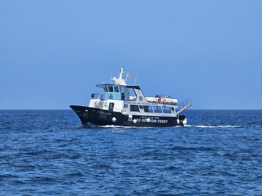 Die Glasbodenfähren fahren in großem Abstand an der Bucht vorbei.
