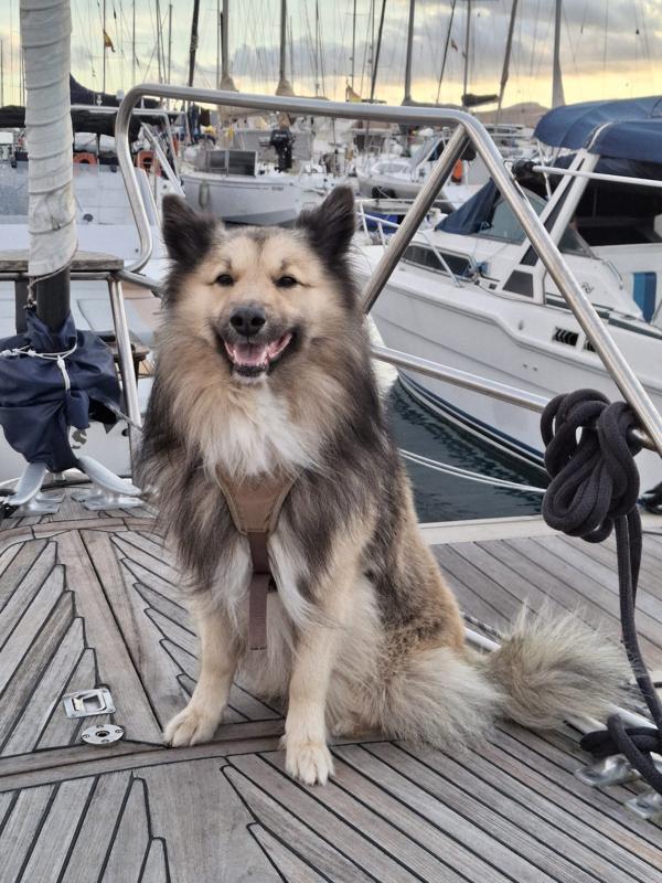 Lukas ist bereit, mit Talitha nach Deutschland zu fliegen.